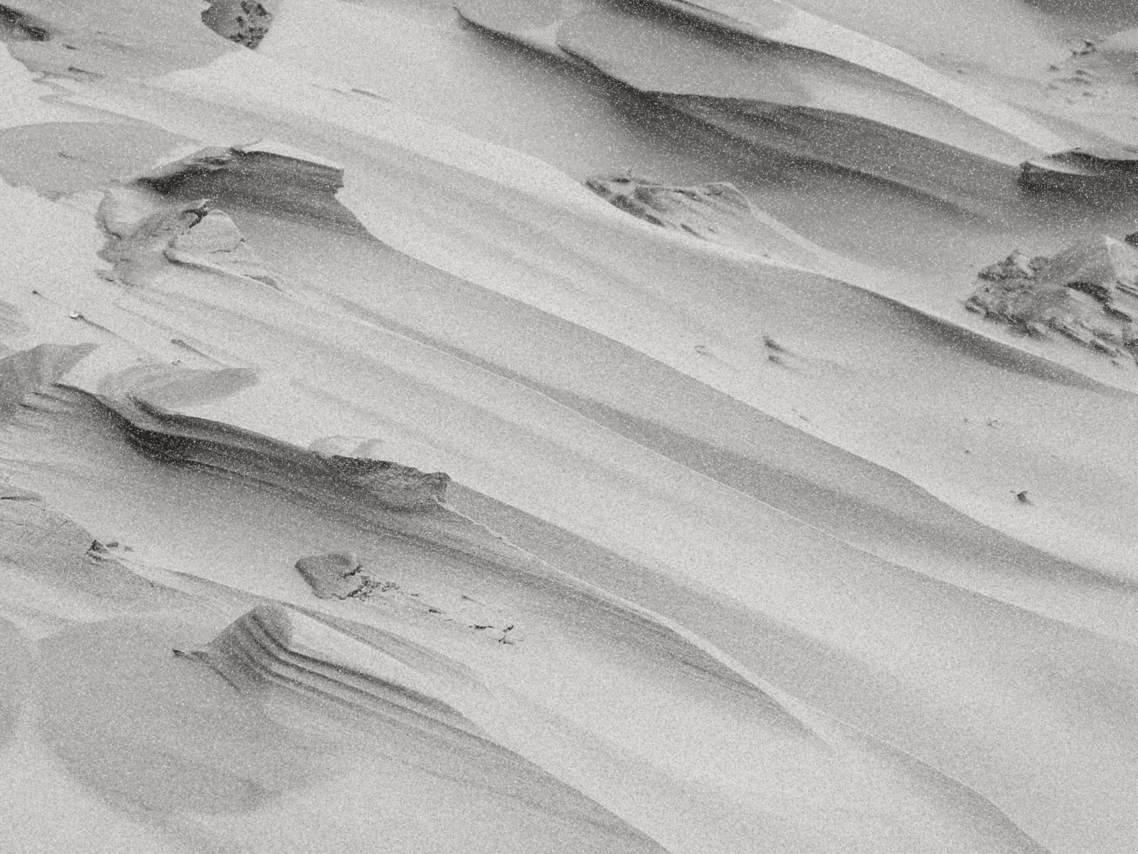 Goa beach scene with palm trees and ocean.